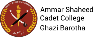 Ammar Shaheed Cadet College logo